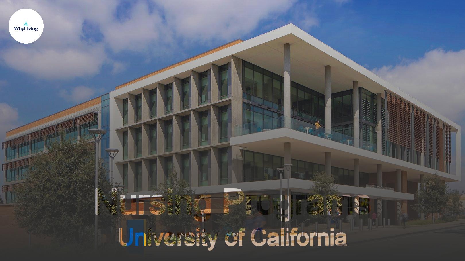 university of california nursing programs